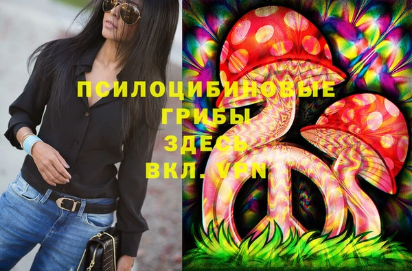 MDMA Premium VHQ Михайловка