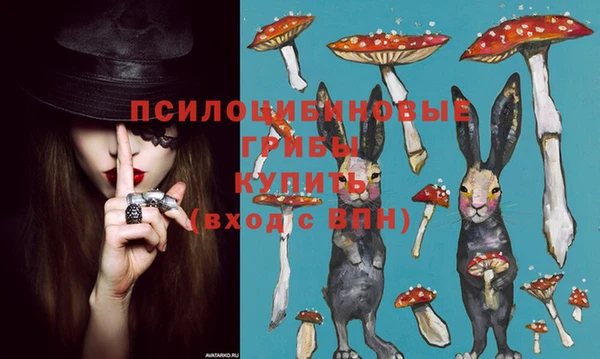 кокс Михайловск