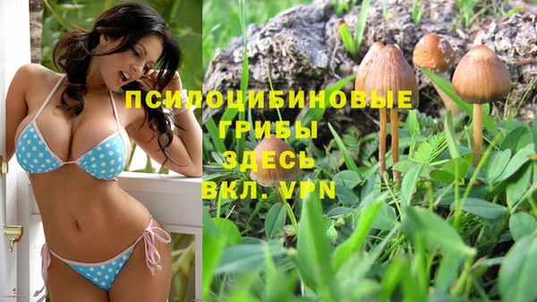 PSILOCYBIN Медвежьегорск
