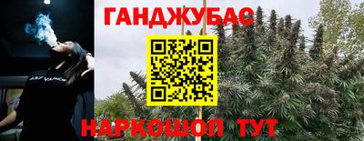 хмурый Дубна