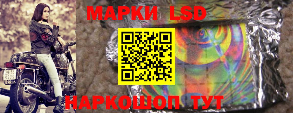 LSD-25 экстази ecstasy  Вход с VPN  OMG как зайти  Курчалой 