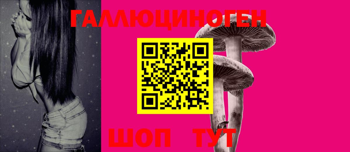 Курчалой  Псилоцибиновые грибы Magic Shrooms  Вход с VPN  Галлюциногенные грибы прущие грибы 